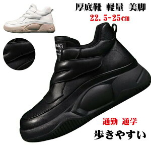 Xj[J[ fB[X Xj[J[ }WbNe[v EH[LOV[Y t@bV ʋC Ȃ ₷ gAbv EH[LOV[Y L ~߂ƑϖՐ r 