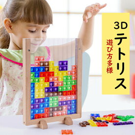 3D テトリス 積み木 知育玩具 パズルセット 組み立て おもちゃ プレゼント 知育玩具 早期開発 教育おもちゃ ギフト 誕生日 贈り物 クリスマス プレゼント 創造力 考える力 五感 好奇心を刺激す