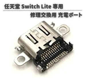 y}\ XSi|Cg5{z CV Nintendo Switch Lite {̗p [d|[g [d hbN RlN^[ USB Type-C C^Cv C  ݊ i p[c