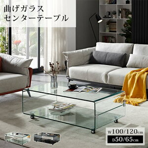 e[u Z^[e[u KXe[u [e[u LX^[t NA   ubN   _ 100/120cm KX ȂKX Ɏq rO ze V V