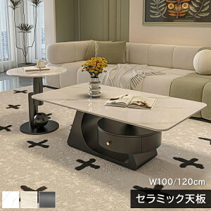  ` Z^[e[u k _ OWA[ Z~bN ɋ 嗝Ε 100 120cm l炵 rO