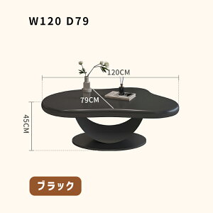 Z^[e[u k _  ` OWA[ Z~bN ɋ 嗝Ε 100/120cm l炵 rO