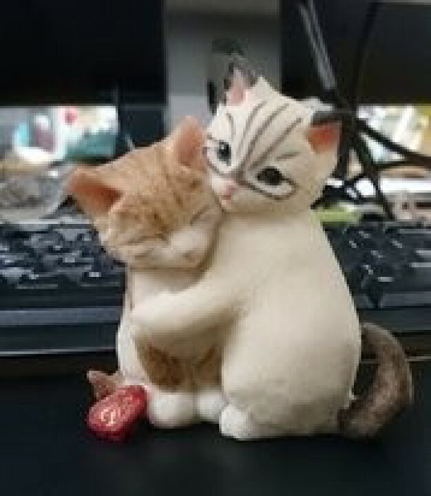 猫のラブカード 子猫のキス 豪奢な