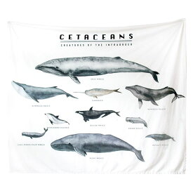 マルチカバー タペストリー 様々な種類のクジラ 名称 図鑑風 スタイリッシュ 長方形 (大)