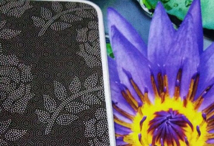 楽天市場 玄関マット 立体的なイラスト 3d風デザイン 睡蓮の花 Dタイプ モノッコ