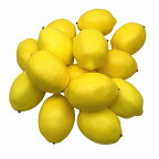食品サンプル レモン 丸ごと 20個セット 10個セット 5個セット 1個