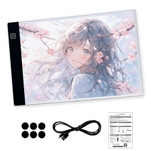 g[X LED Px Cg{bNX iK 3iK USBd USBP[u ʃS {戵