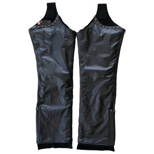 y݌ɗLz WYS[h Ki̔X JGW-1002 COWRIDER h`bvXEH[}[ ubN M[TCY JAMfS GOLD JGW-1002