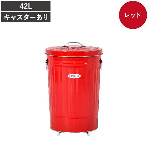 �S�~�� 45���b�g�� 45l ������� ���� �L�b�`�� �_�X�g�{�b�N�X ���ނp �L��Ȃ� �ӂ��t�� ���r���O �傫�� ��e�� �y�b�g�{�g�� �L���X�^�[�t�� �y�b�g �������� �h�~ �����ݗp ���O�p �O�u