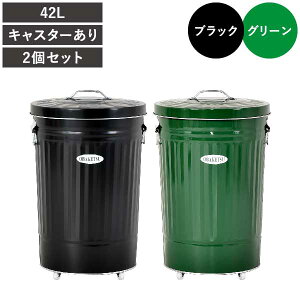 ゴミ箱 45リットル 45l おしゃれ 分別 キッチン ダストボックス おむつ用 臭わない ふた付き リビング 大きい 大容量 ペットボトル キャスター付き ペット いたずら 防止 生ごみ用 屋外用 外置