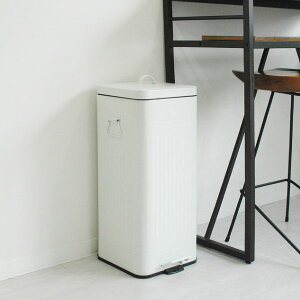 S~ yS13zyTtz X  Lb` 45bg܉ 45L܉ LȂ 20cm 30cm ӂt rO 30bg 30L Tj^[{bNX gC y_  S
