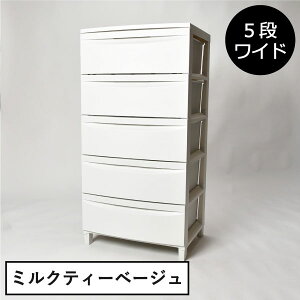 [P[X o vX`bN [{bNX 3i LX^[t rt `FXg  ߑP[X   s45cm 35cm 50cm g N[[bg  qǂ Ce