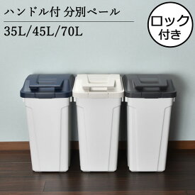 ゴミ箱 45リットル 45L 35～70L 70リットル スリム おしゃれ 分別 キッチン ダストボックス 臭わない ふた付き 大きい 袋が見えない 大容量 ペットボトル ペット いたずら 防止 屋外用 約幅30cm 北欧 外置き 黒 缶 ビン ワイド 防臭( アスベル ハンドル付 分別ペール )