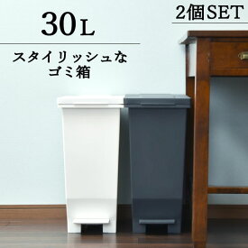 ゴミ箱 おしゃれ キッチン ふた付き スリム 分別 45リットル袋可 45L袋可 縦型 生ゴミ 臭わない ペダル式 小さい 袋が見えない 30リットル 袋隠せる 袋どめ おむつ ダストボックス リビング インテリア雑貨 北欧 ホワイト 白( エバンMP 密閉ペダルペール 30L 2個セット )