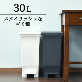 ゴミ箱 おしゃれ キッチン ふた付き スリム 45リットル袋可 45L袋可 分別 縦型 生ゴミ 臭わない ペダル式 小さい 袋が見えない 30リットル 袋隠せる 角型 おむつ ダストボックス リビング インテリア雑貨 北欧 シンプル ホワイト 白( エバンMP 密閉ペダルペール 30L )