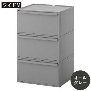 [{bNX  [P[X ^X o 3i 30cm ςݏd X^bLO vX`bN e ߗ   2`4Zbg k CeAG Y LX^[ AW