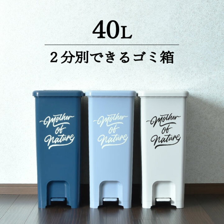 楽天市場 ゴミ箱 45リットル袋可 おしゃれ 45l袋可 分別 キッチン ペダル ふた付き スリム 収納 袋どめ 袋 見えない 隙間 角型 ごみ箱 ダストボックス 2分別 リビング シンプル インテリア雑貨 北欧 ナイトブルー クールグレー ミルクティベージュ 平和工業 ペダル