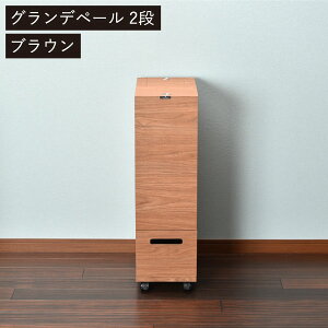 【全4種】【4大特典】ゴミ箱 分別 キャスター付き 45リットル 分別 おしゃれ スリム 約幅20cm リビング キッチン 大容量 缶 ビン ペットボトル 生ゴミ用 ふた付き 木製 袋が見えない 縦型 薄型