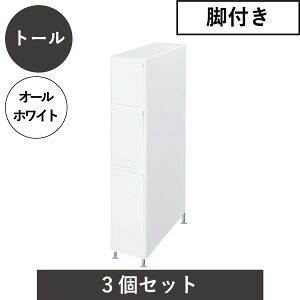 [P[X o 3i [{bNX vX`bN 4i Ԏ[ LX^[/AWX^[ `FXg    14cm 17cm 25.5cm k Lb` ʏ rO t@Cg[