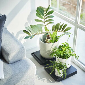  LX^[t  ^ RpNg ω׏d40kg  z[L[ p nht ϗtA ԑ CeAG k Vv ^[V[Y towerV[Y  yamazak