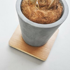  LX^[t yS4z ~j ؐ  ω׏d30kg  ƒp u ϗtA X y RpNg h[ L[J[g z[L[ [ CeAG