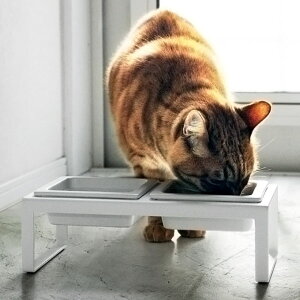 t[h{E   ybg  L H  ybgpi   k CeAG GTM a   Lp  ^[V[Y towerV[Y  yamazaki }U