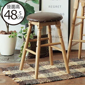 ֎q  CX ؐ  NbV Be[W Xc[ k AeB[N g ʍ48.5cm _CjO`FA | CeAG uE jO  wȂ y