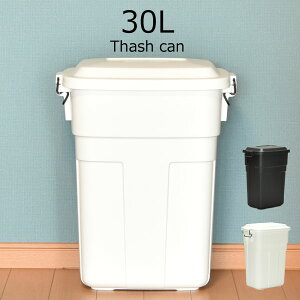 45l オシャレ ダストボックス ゴミ箱 ごみ箱 通販 価格比較 価格 Com