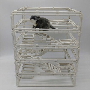 ł낤InX^[^[ XpCXebv 5i Vя ^ XgXU ^s  H X|[c CAEgR g݊R  NA nX^[  