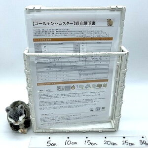 ł낤IynX^[t@C{bNX A4z t@CP[X ޓ ޕۑ {bNX@ | ݂艺  NA g݊R ybg ঒  j[