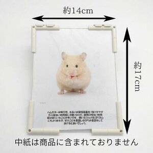 ł낤IynX^[bZ[Wpl A6z@ ybg  NA l[v[g D O bZ[Wv[g tHgpl CeA  fUC g݊R 