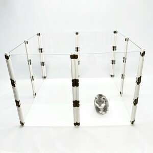 ł낤IynX^[T[NS@8plZbgz 񍂂30cm×21cm(1pl) ybgT[N UT[N ybgtFX CAEgR XgX  NA n