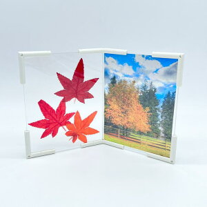 ytHgpl@J[u120° A6@2plz [֖ photostand@tHgpl tHgt[ găLbg Lbg ʐ^ g݊R CeA@@fUC j