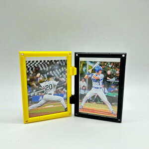 tHgt[ A8TCY 2or4 gݗăLbg g ^CK[ Aj} Ƃ   Aj} Lbg ʐ^  cu u g݊R j[m[}ubN 