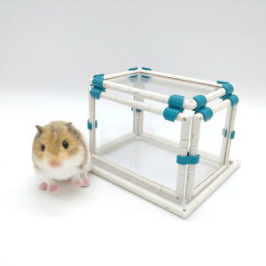 ł낤IynX^[nEX g[Zbg  z nEX  Q Q B XgXU CAEgR g݊R  NA nX^[  ybg j[m[}