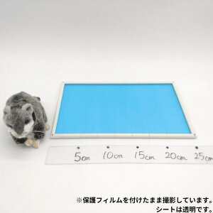 ł낤IynX^[nEXg[ z  g[ nEX  Q Q B XgXU CAEgR g݊R  NA nX^[  ybg j[m[