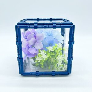 y@t[P[X@L[u@@z@@P[X Jo[ NAJo[     NA  CeA Mtg v[g fUC L[u  킢  v