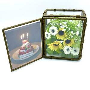 yt[bZ[W{bNX (`)LbgzMtg{bNX t[{bNX ʐ^ tHgt[ Lbg IWi AW Mtg v[g 蕨 a 