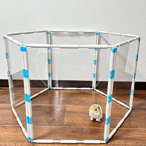 nX^[ T[N t[i6s[Xj 29.4cm×38.4cm 6s[XZbg ybgT[N ybgtFX P[W Q[W ঒  j[m[}ubN  