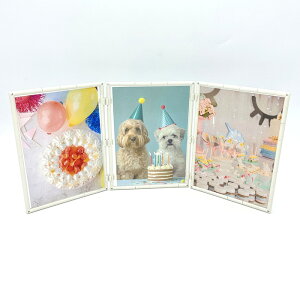 ytHgt[ A5@3ʁz [֖ photostand@tHgpl tHgt[ găLbg Lbg ʐ^ g݊R CeA@@fUC j[m[}