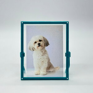 ytHgt[ A6@1ʁz [֖ photostand@tHgpl tHgt[ găLbg Lbg ʐ^ g݊R CeA@@fUC j[m[}