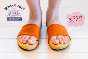 gXbp O[p[ _CGbgXbp g[jO ̊ r pT_ [V[Y fB[X Y { DRFT2@w g[jO r w w 