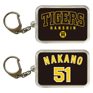 _^CK[X ObY cF NEW L[z_[ wԍ@TIGERSS@v싅