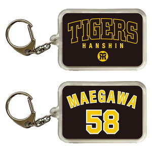 _^CK[X ObY cF NEWOE L[z_[ wԍ@TIGERSS@v싅