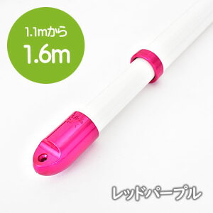 gg~̕ p i1.1m1.6m܂ŐLтj Lk ~L[zCgF  KтȂA~󂴂y{ÉHꐻiz