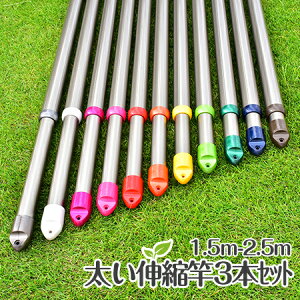 ċ TrȂLk 3{Zbgi1.5M2D5m܂ŐLтjVpS[hF ֗ȐLk   XeX ~zc Lbv̐FIׂ A~ ̂ق 󂴂