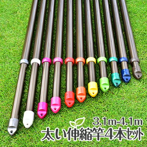 _X[p[SALE ^@ďv KтȂ gg~̐Lk 4{Zbg (3.1m4.1m܂ŐLт){̐F:uYF ~zc ʂ̐󕨂 ƑɍœKy{ÉHꐻiz