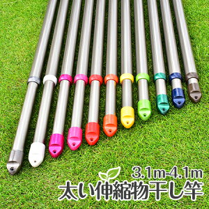 ďv KтȂ gg~̐Lk (3.1m4.1m܂ŐLт){̐F:VpS[hF ~zc ʂ̐󕨂 ƑɍœKy{ÉHꐻiz