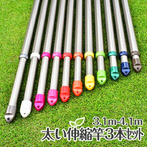 ďv KтȂ gg~̐Lk 3{Zbg (3.1m4.1m܂ŐLт){̐F:VpS[hF ~zc ʂ̐󕨂 ƑɍœKy{ÉHꐻiz