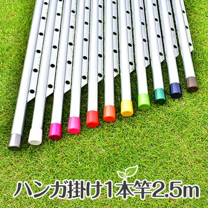 楽天市場 物干し竿 ハンガー掛け付き 物干し竿 長さ２ ５ｍ シルバ色 キャップの色が選べる サビない おしゃれ 屋内 屋外 ベランダに最適な 洗濯竿 日本製 国内自社工場製造 物干し専門店きらら